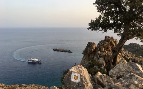 A ferry crossing calm sea off a rocky shore with a twisted tree in the foreground, in soft evening light