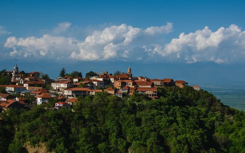 The red roofs of the hilltop town of Sighnaghi among green trees, with white clouds in a blue sky