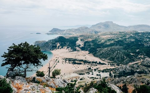 Tsambika Beach and its sandy bay seen from the hillside above, with pine trees in front