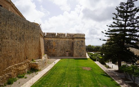 The tall stone walls of Mdina above a green lawn and a tall pine tree, under a blue sky with white clouds