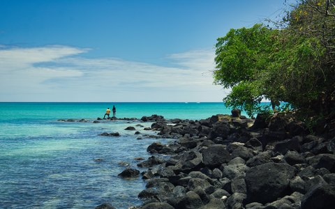 Turquoise water beside dark rocks and a green tree at La Cuvette beach in Grand Baie, under a blue sky