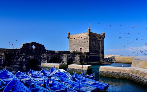 Rows of blue fishing boats in Essaouira harbour below the old stone sea fortress, under a deep blue sky