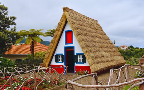 A triangular thatched Santana house painted white, red and blue, with tree ferns and flowers in front