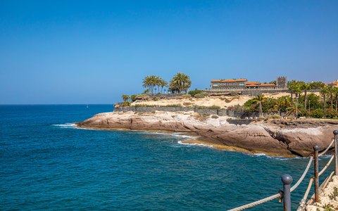 A rocky headland with palm trees above clear blue water on the Costa Adeje shore, under a sunny sky