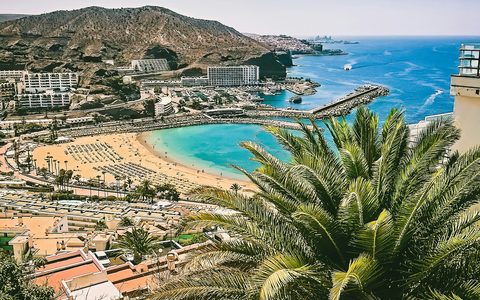 A sandy beach and turquoise bay below the hillside apartments of Puerto Rico, with palm leaves in the foreground