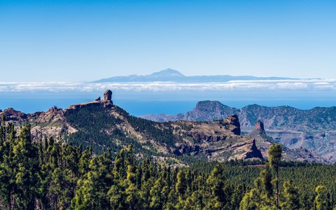 Felssäule Roque Nublo auf einem kiefernbewachsenen Bergrücken, mit Wolkenmeer und Teide-Gipfel am Horizont