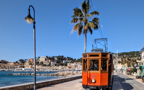 The historic red Soller tram on the seaside promenade with palm trees and a clear blue sky
