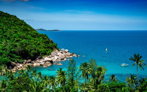 A tropical coastline of Koh Samui with palm trees, green hills and a deep blue sea