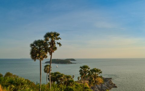 Palm trees on a green headland above the sea, with a small island offshore under a clear evening sky