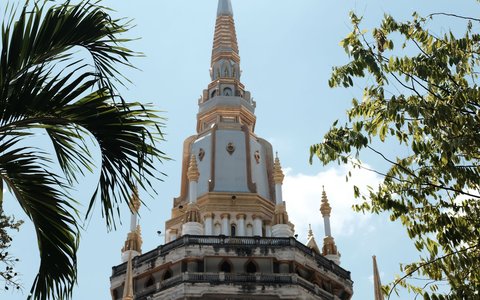 The white and gold spire of a tall tiered pagoda at Tiger Cave Temple, framed by palm fronds and leafy branches under a blue sky